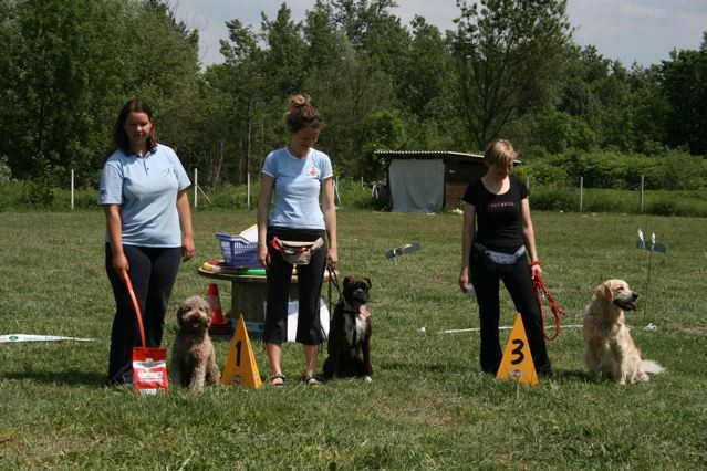 Krim trim 07 - foto povečava