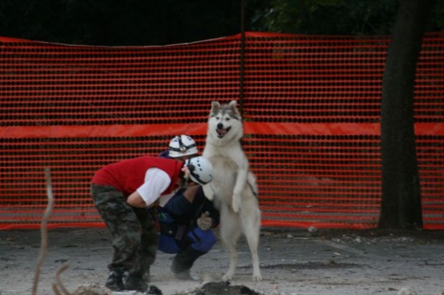 Trening celovska - foto