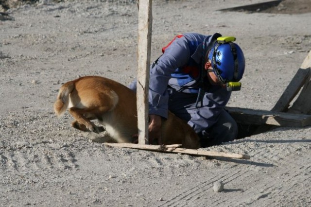 Trening celovska - foto