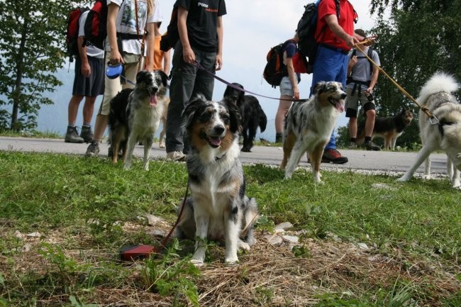 Jeza 2007 - foto povečava