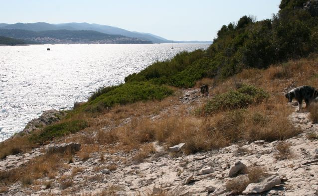 Korcula 07 - foto povečava