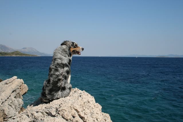 Korcula 07 - foto