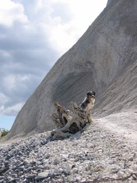 Blumino popotovanje po Danski - foto