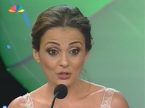 [+] Premios TV 2008 - foto povečava