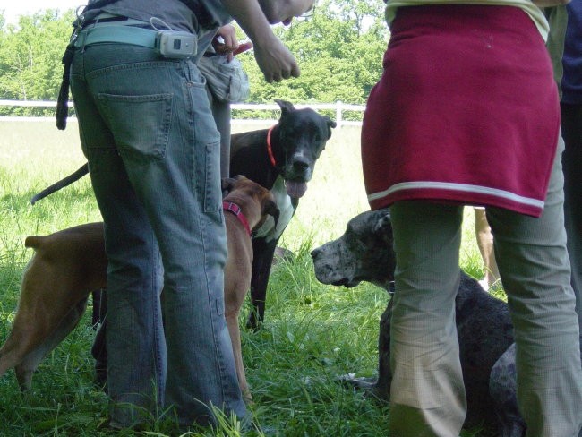 Zajčja Dobrava 21.5.2005 - foto povečava