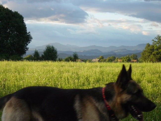 Zajčja Dobrava 2.7.2005 - foto povečava