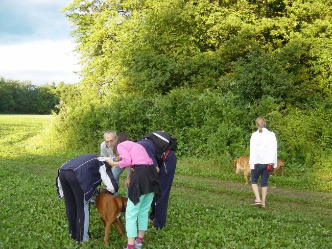 Zajčja Dobrava 2.7.2005 - foto povečava