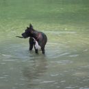 bohinj- julij 2005