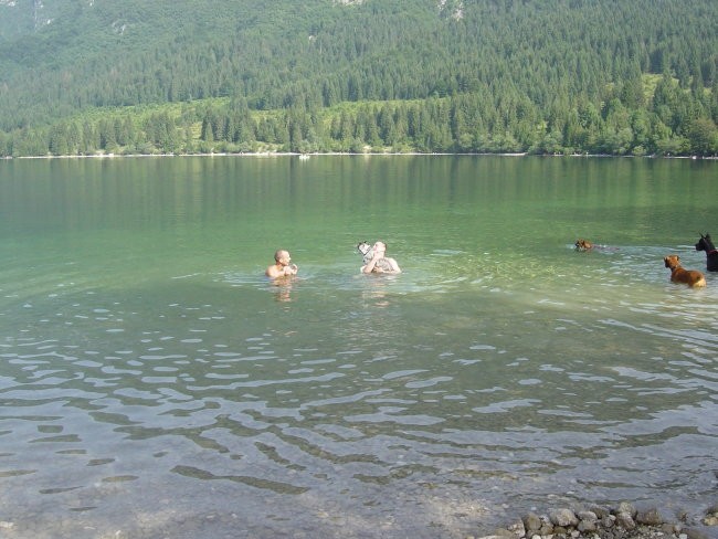 Bohinj- julij 2005 - foto povečava