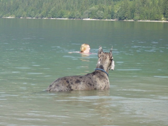 Bohinj- julij 2005 - foto