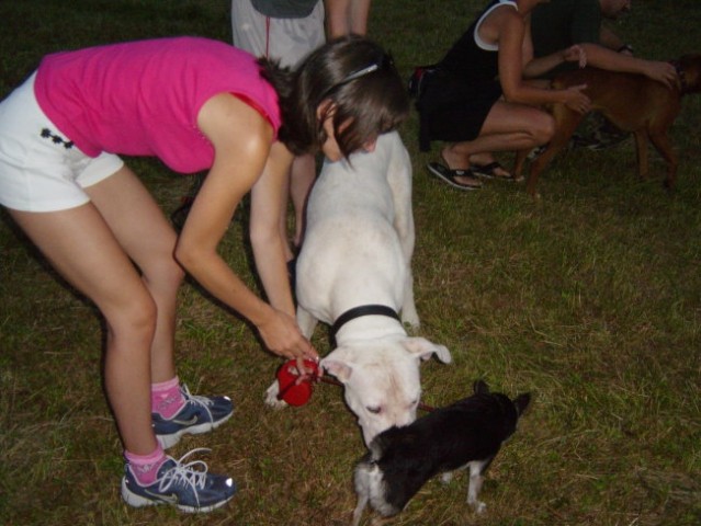 Zajčja Dobrava 30.7.2005 - foto