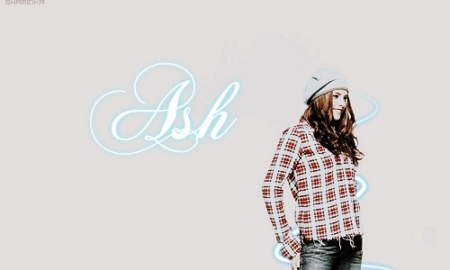 Twilight crew - foto povečava