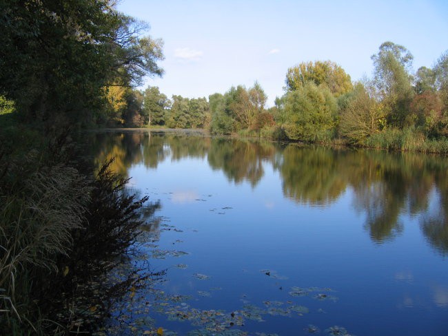 Strokovna ekskurzija GZ - Prekmurje 07 - foto povečava