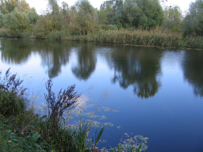 Strokovna ekskurzija GZ - Prekmurje 07 - foto povečava