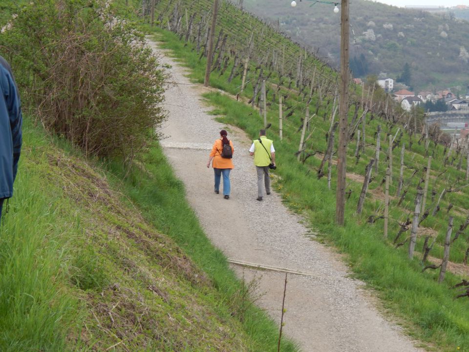 Škoda-Klub Srečanje 20.4.2013 - foto povečava