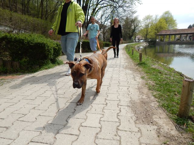 Škoda-Klub Srečanje 20.4.2013 - foto