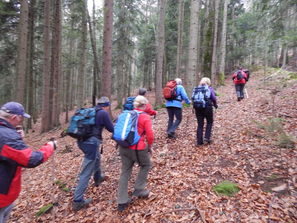 Lovrenška jezera 22.11.2014 - foto povečava