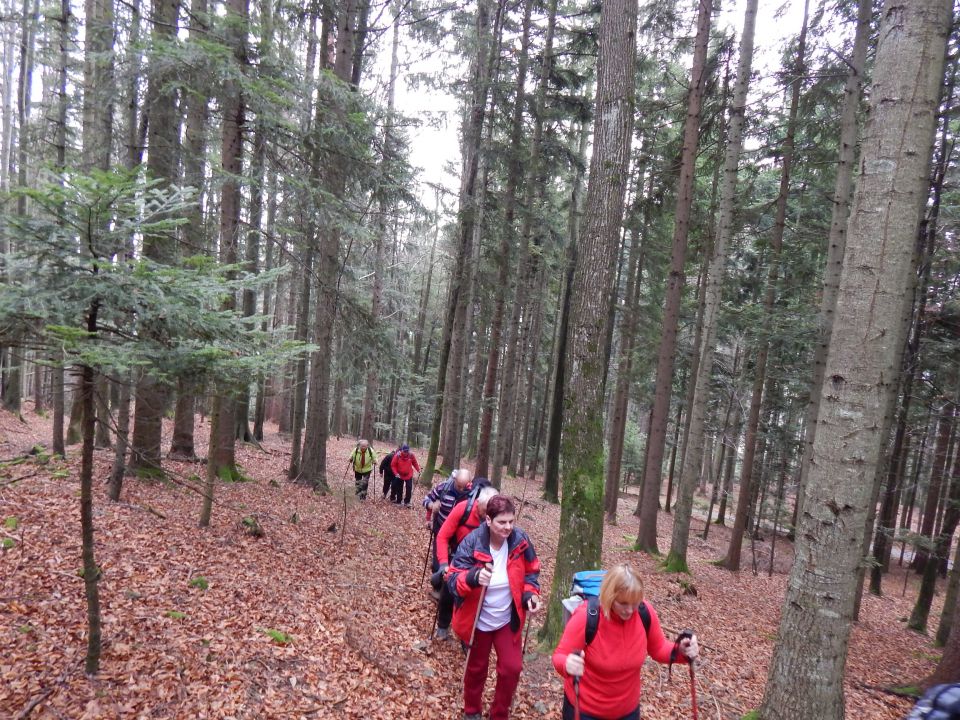 Lovrenška jezera 22.11.2014 - foto povečava