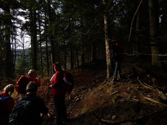 Lovrenška jezera 22.11.2014 - foto