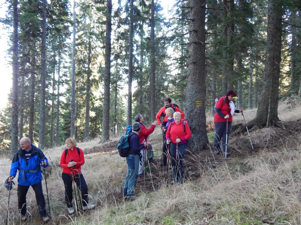 Lovrenška jezera 22.11.2014 - foto povečava