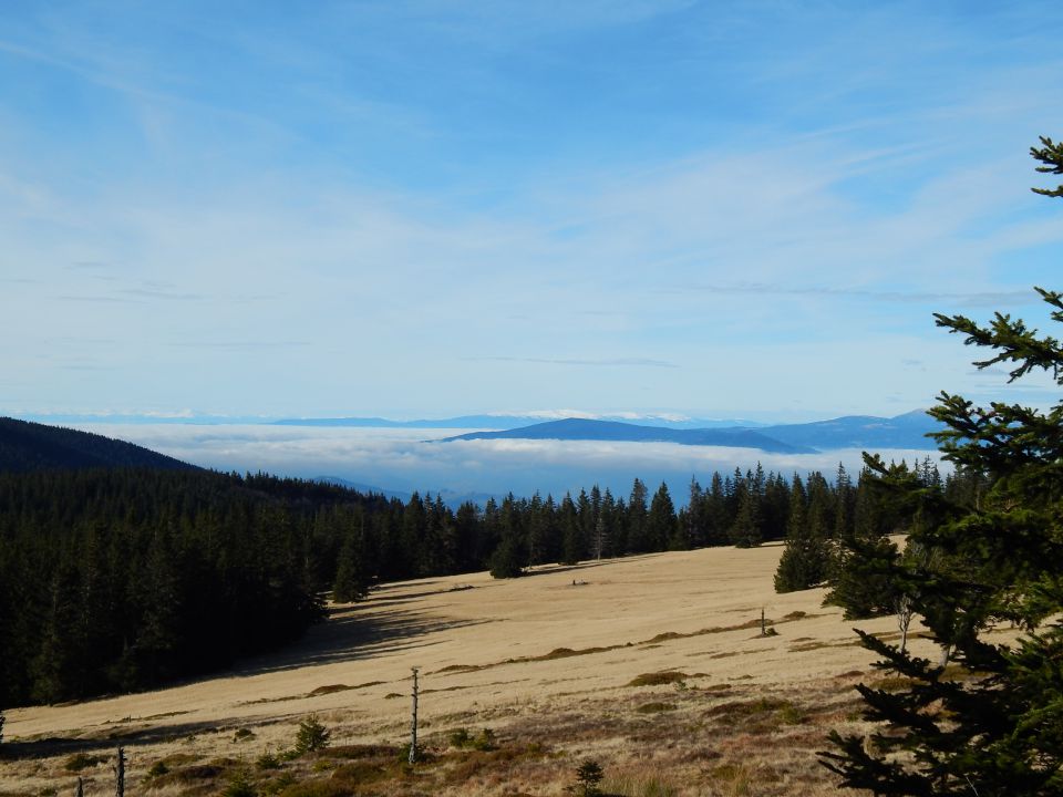 Lovrenška jezera 22.11.2014 - foto povečava