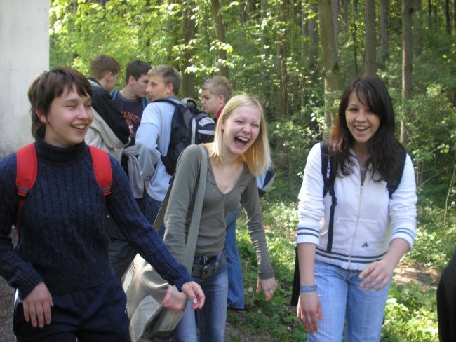 2.l Škofja loka - foto povečava