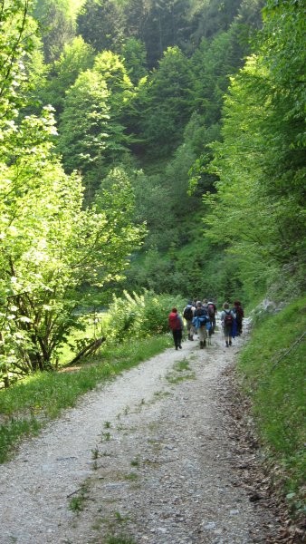 Pohod PDVojnik - Lepenatka 24.5.2008 - foto