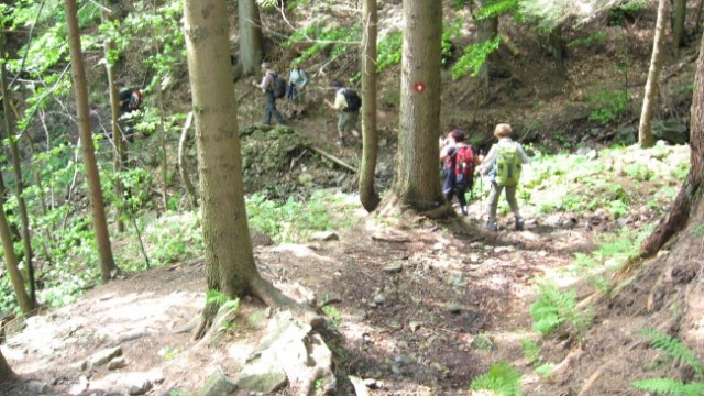 Pohod PDVojnik - Lepenatka 24.5.2008 - foto