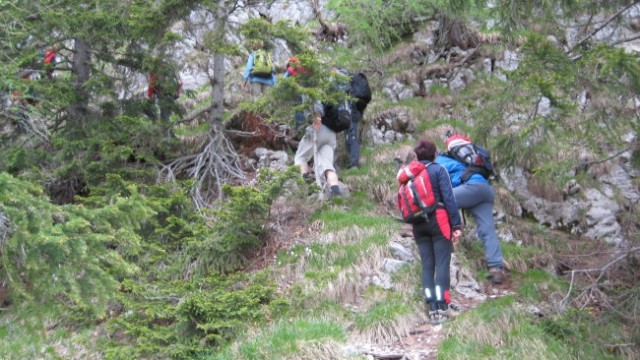 Pohod PDVojnik - Lepenatka 24.5.2008 - foto