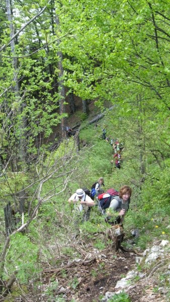 Pohod PDVojnik - Lepenatka 24.5.2008 - foto povečava