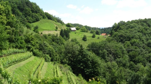 PDVojnik pohod Vojnik-Uršula 15.6.2008 - foto