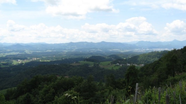 PDVojnik pohod Vojnik-Uršula 15.6.2008 - foto