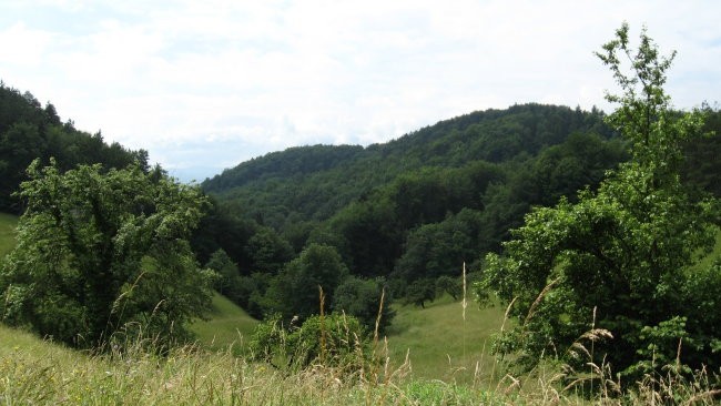 PDVojnik pohod Vojnik-Uršula 15.6.2008 - foto povečava