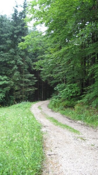 PDVojnik pohod Vojnik-Uršula 15.6.2008 - foto povečava