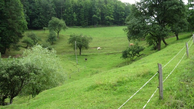 PDVojnik pohod Vojnik-Uršula 15.6.2008 - foto povečava