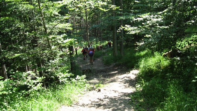 Pohod PDVojnik - Ajdna - Potoška planina 28.6 - foto povečava