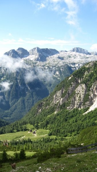 PDVojnik vzpon na Viš 19.7.2008 - foto povečava