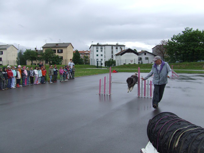 Obisk Vrtca Pivka  22.5.2008 - foto povečava