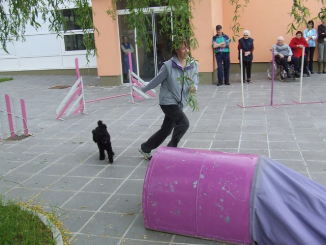 Obisk Doma upokojencev Postojna  22.5.2008 - foto