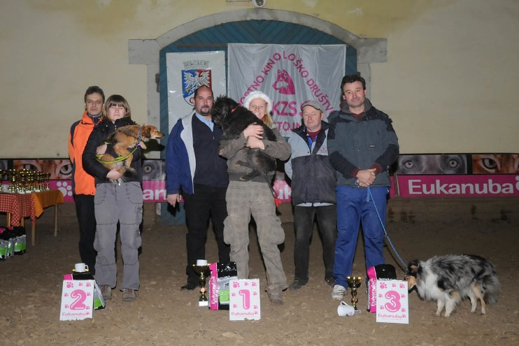 Božična agility tekma 20.12.2008 - foto povečava