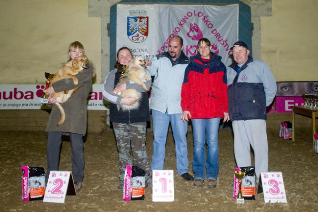 3. tekma Zimskega Eukanuba pokala Slovenije - - foto