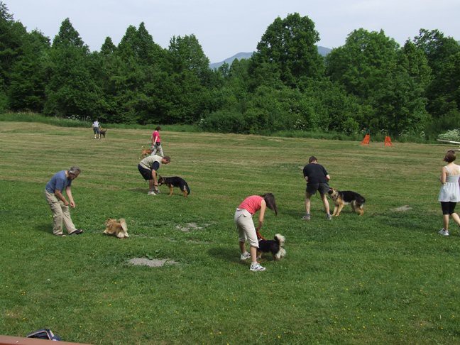 Zaključek spomladanskih tečajev 2009 - foto povečava