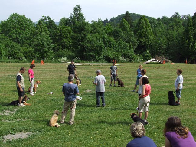 Zaključek spomladanskih tečajev 2009 - foto povečava