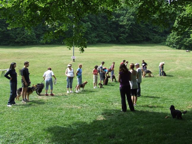 Zaključek spomladanskih tečajev 2009 - foto povečava