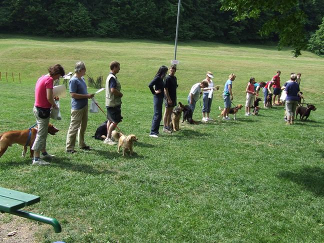 Zaključek spomladanskih tečajev 2009 - foto povečava