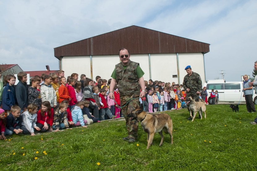 Kinološki dan v OŠ Planina in Prestranek 17.4 - foto povečava