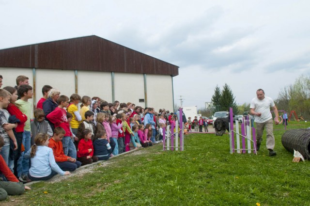 Kinološki dan v OŠ Planina in Prestranek 17.4 - foto