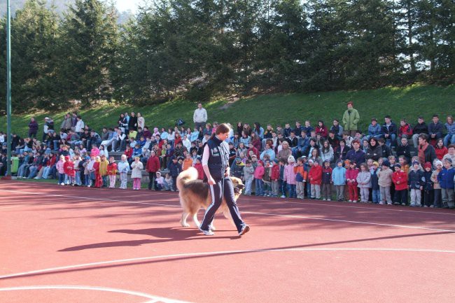 Predstavitev učencem OŠ Antona Globočnika in  - foto povečava