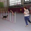 Dne 06.03.2004 smo se predstavili na OŠ Miros