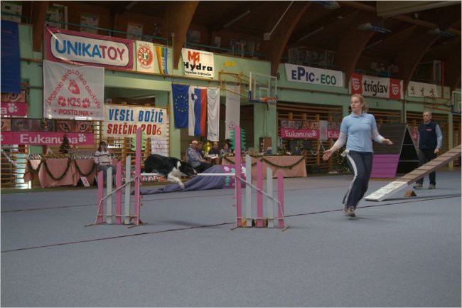 Slike z 1. tekme Zimskega Eukanuba pokala - 